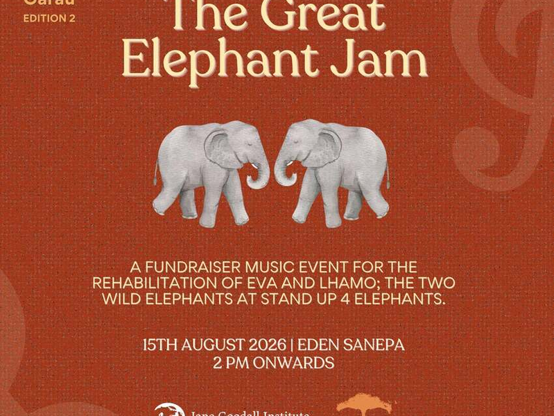 Aba Afai Garau (Edition 2) The Great Elephant Jam