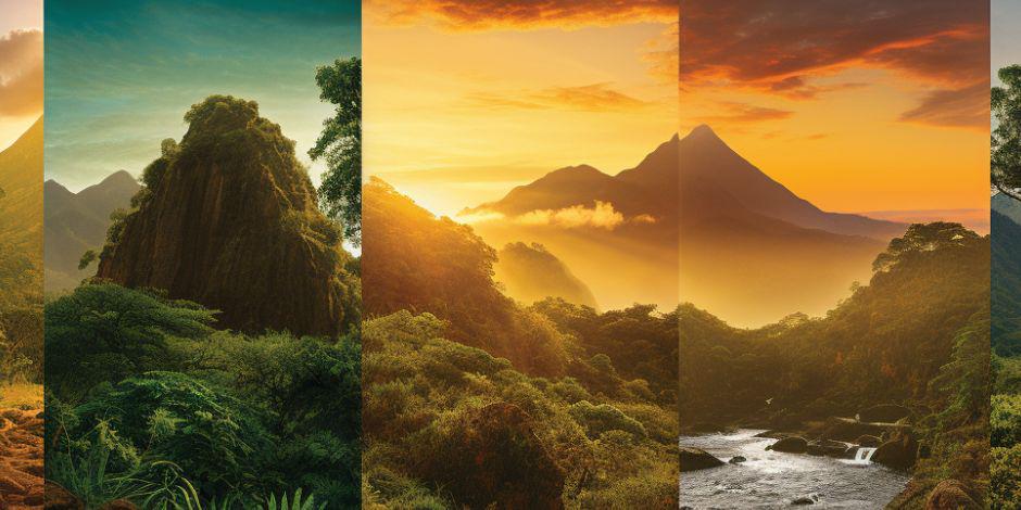 Banner Background